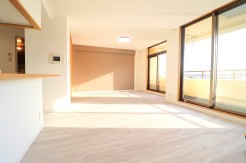 約20.2帖の広々LDK