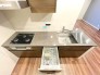 全自動食器洗乾燥機、浄水機能付水栓、ディスポーザー、三口ガスコンロが備わるキッチン