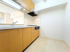 リビングダイニングを見通すカウンター付きのキッチン